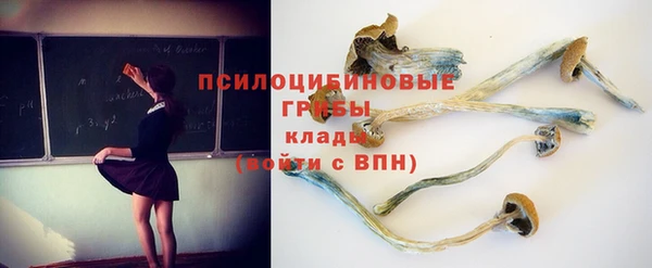 2c-b Алзамай