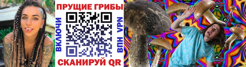 Галлюциногенные грибы прущие грибы  blacksprut ссылка  Конаково  где купить наркотик 